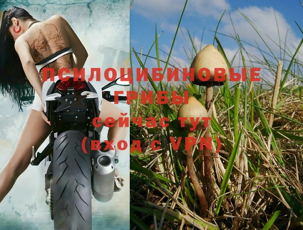 трава Балабаново