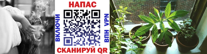 OMG ONION  закладка  Калининец  Бошки Шишки Bruce Banner 